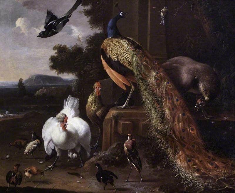Павлин и птичий двор Melchior de Hondecoeter 