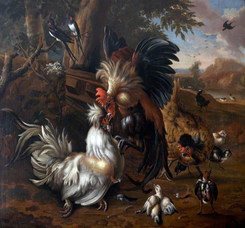 Петушиный бой Melchior de Hondecoeter 