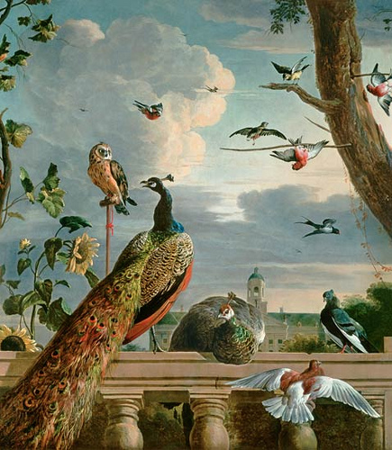 Амстердамский дворец с экзотическими птицами